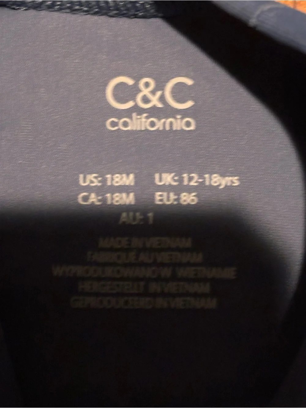 🎉 (18m) C&C California Toddler Boys 2PC Swim Set